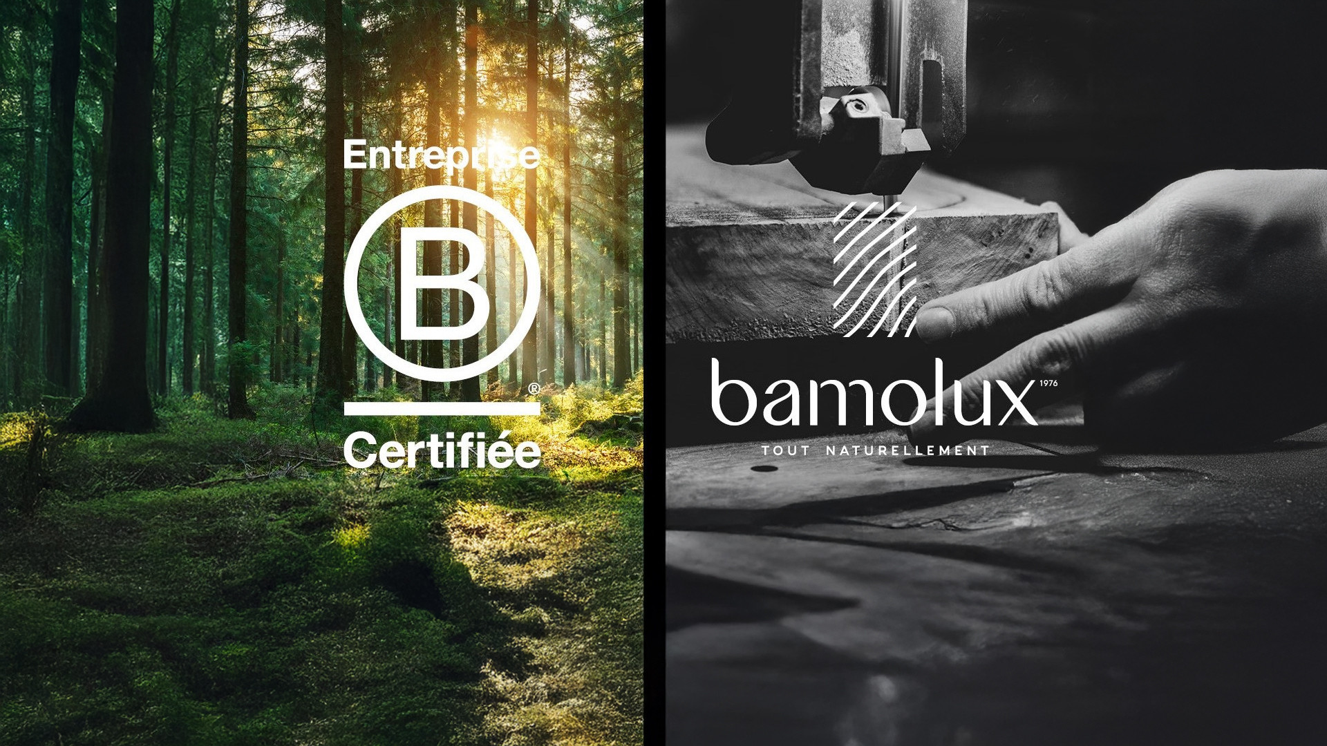 Bamolux Certified B Corporation™